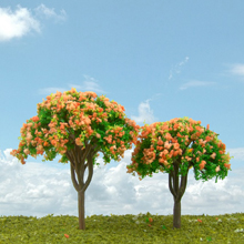 model trees